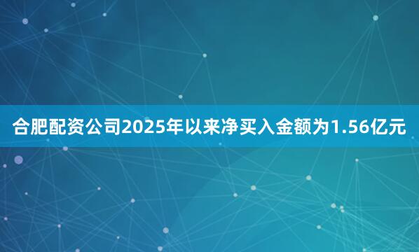 合肥配资公司2025年以来净买入金额为1.56亿元