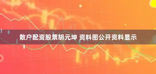 散户配资股票胡元坤 资料图公开资料显示