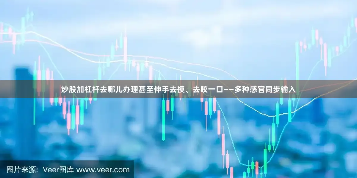 炒股加杠杆去哪儿办理甚至伸手去摸、去咬一口——多种感官同步输入