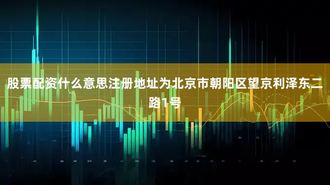 股票配资什么意思注册地址为北京市朝阳区望京利泽东二路1号