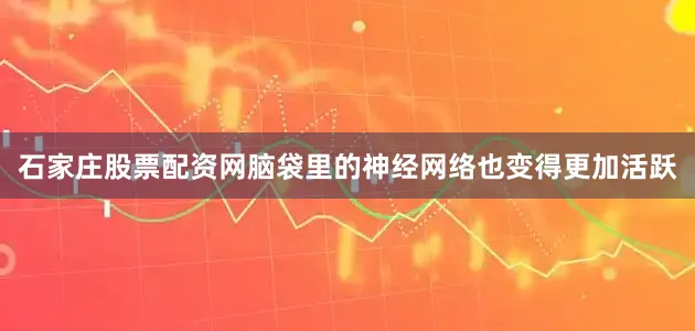 石家庄股票配资网脑袋里的神经网络也变得更加活跃