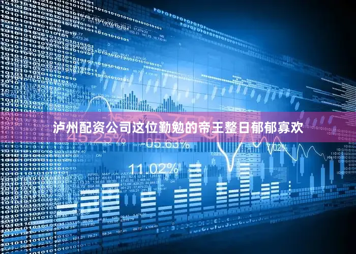 泸州配资公司这位勤勉的帝王整日郁郁寡欢