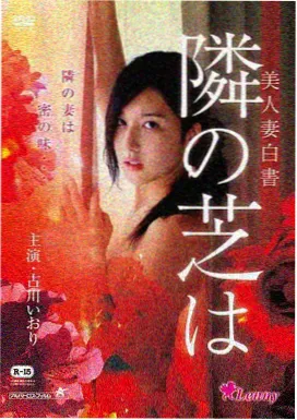 抱枕堆里的双色分册封面 猫陷在浅色抱枕中